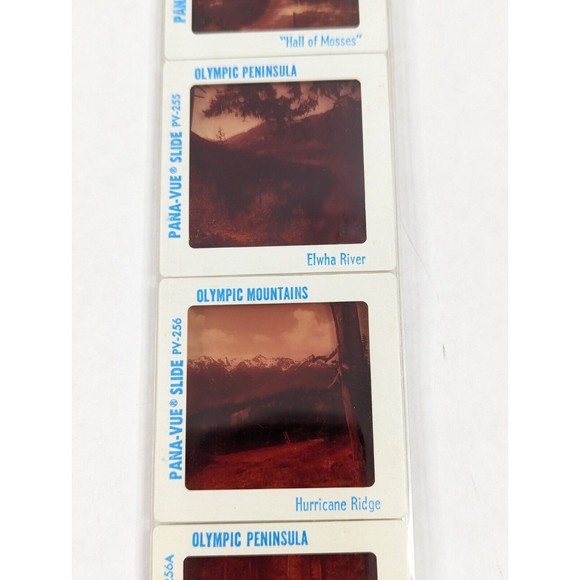 Vintage GAF Pana-Vue Slides Olympic Peninsula Washington State Lot of 5 PV114 - Picture 6 of 11